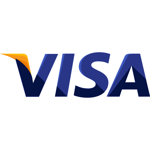 My Digital Wala Marketing And IT Services Agancy visa logo